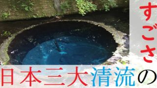 柿田川の清水