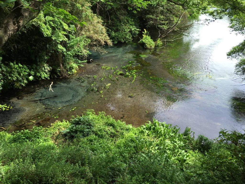 柿田川第一展望台