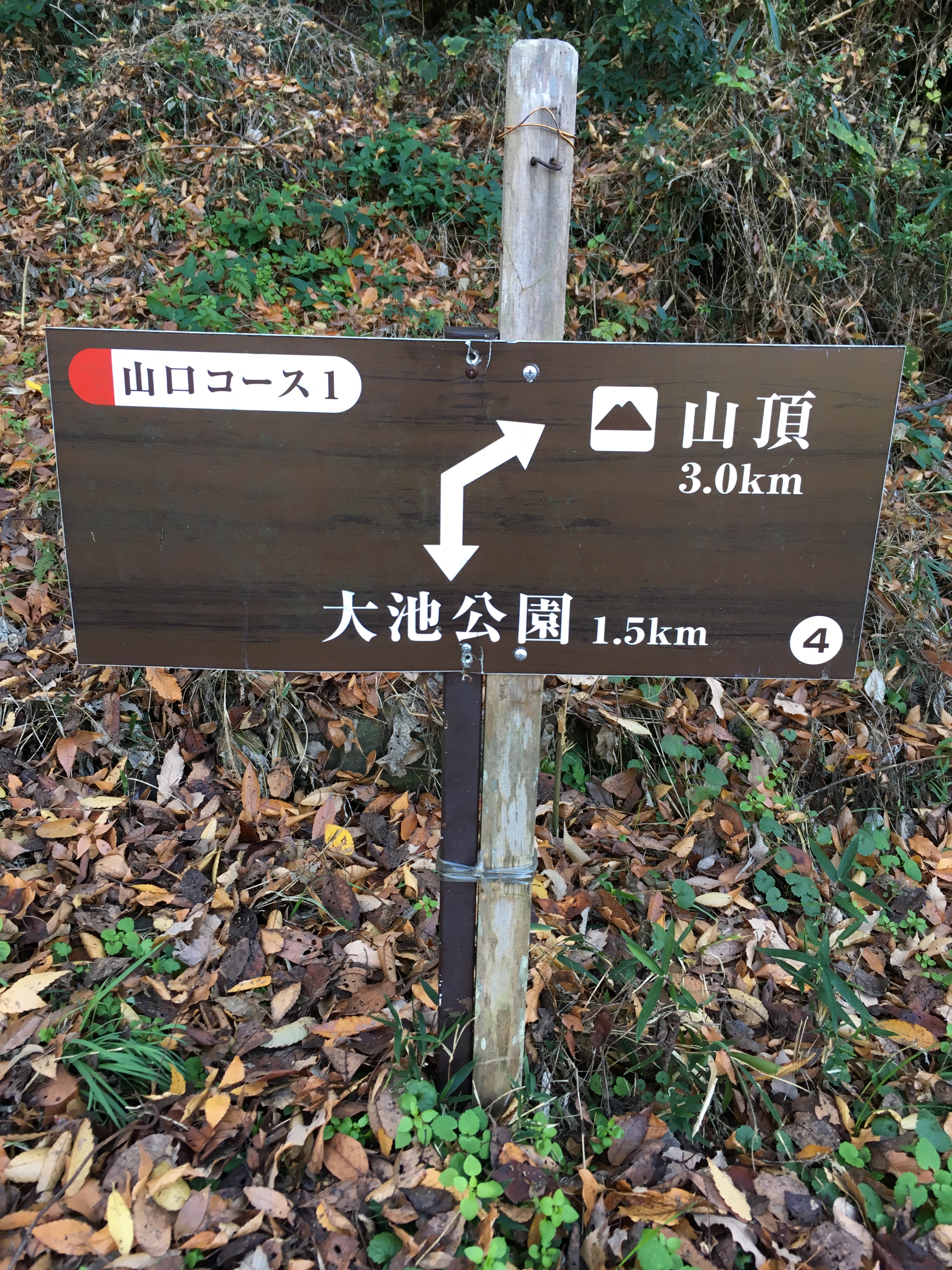 ダイエット登山　山頂まで3キロ