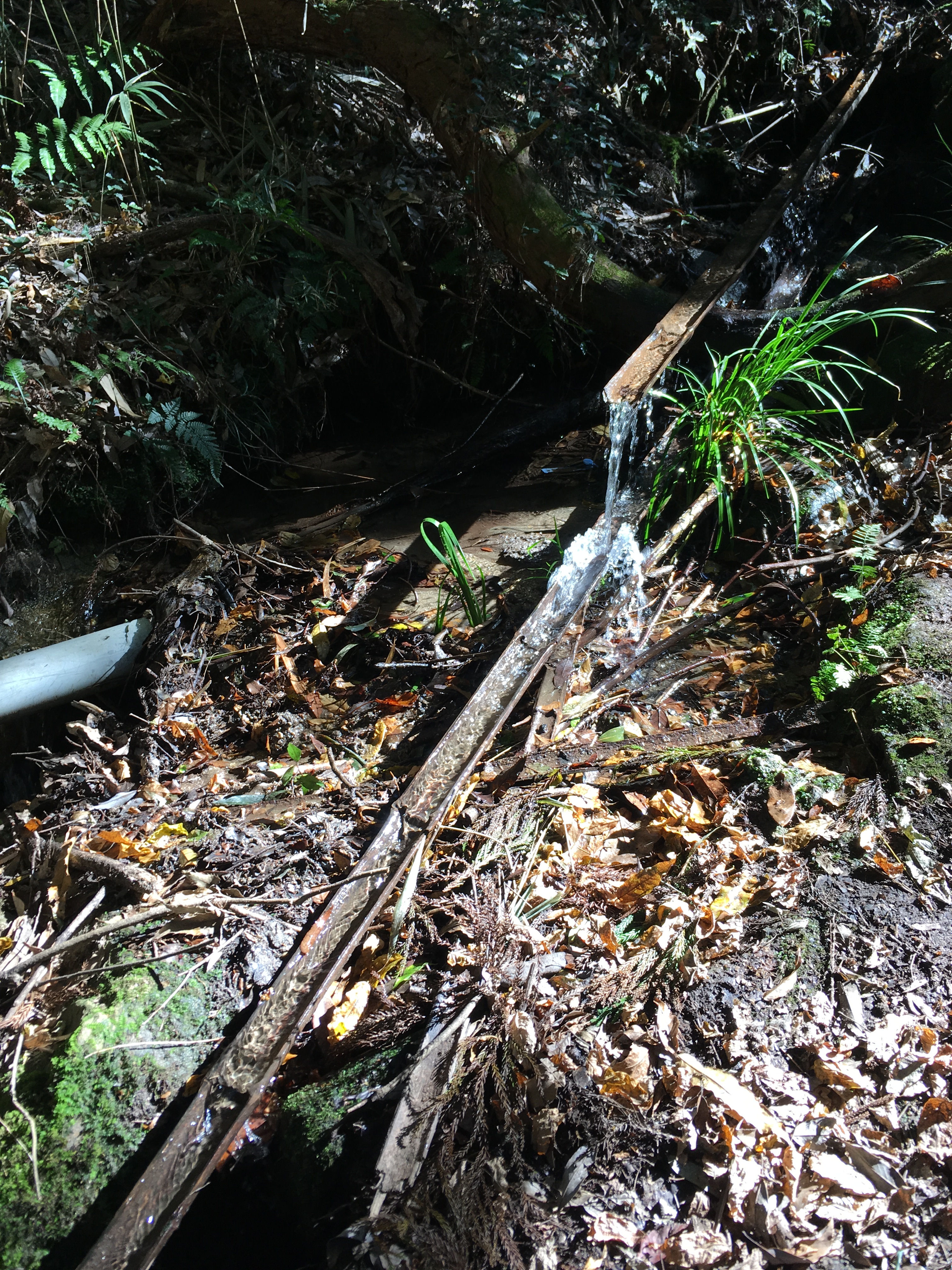 ダイエット登山　宝篋山の沢