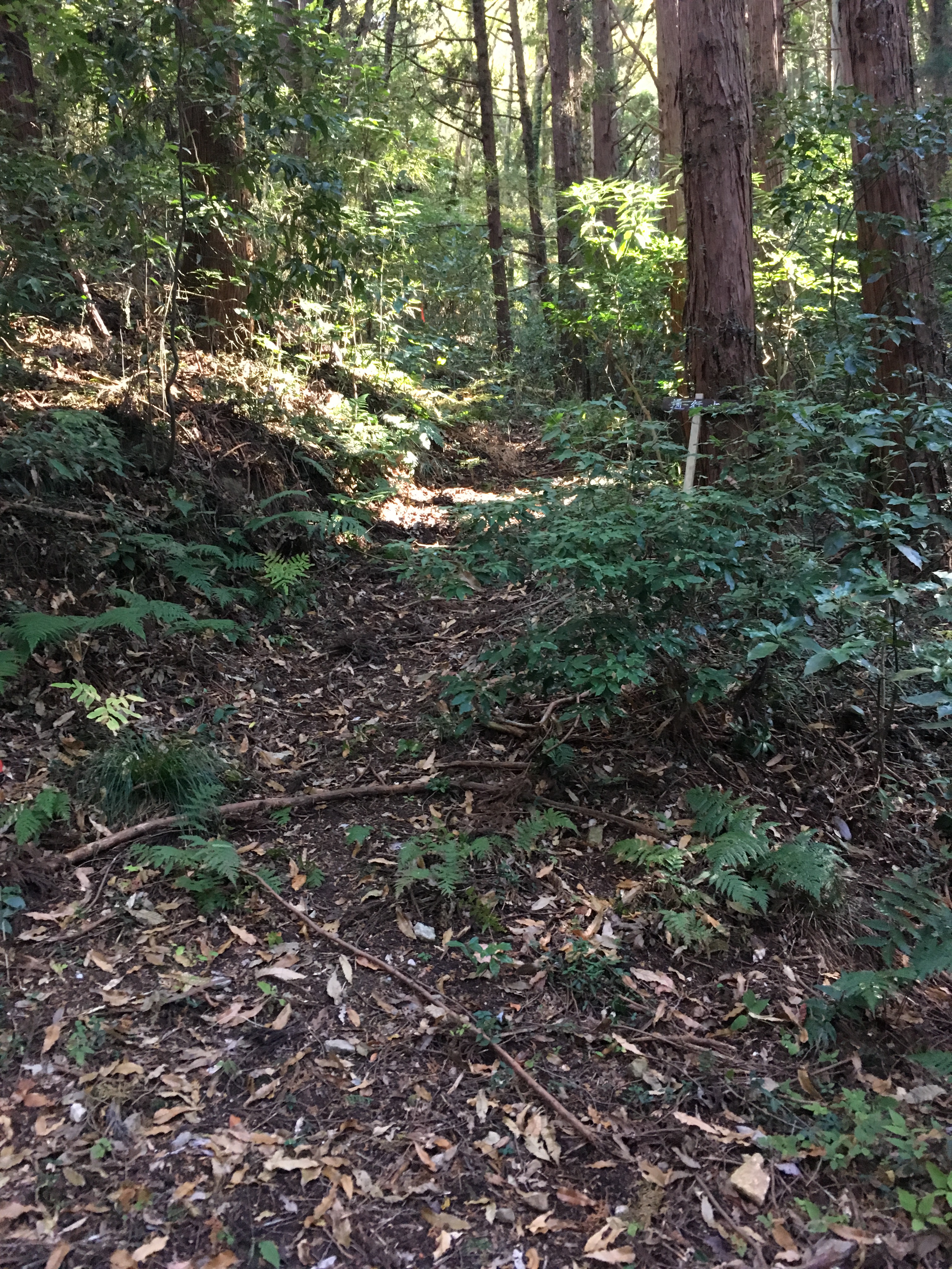 ダイエット登山　宝篋山の通行止め道