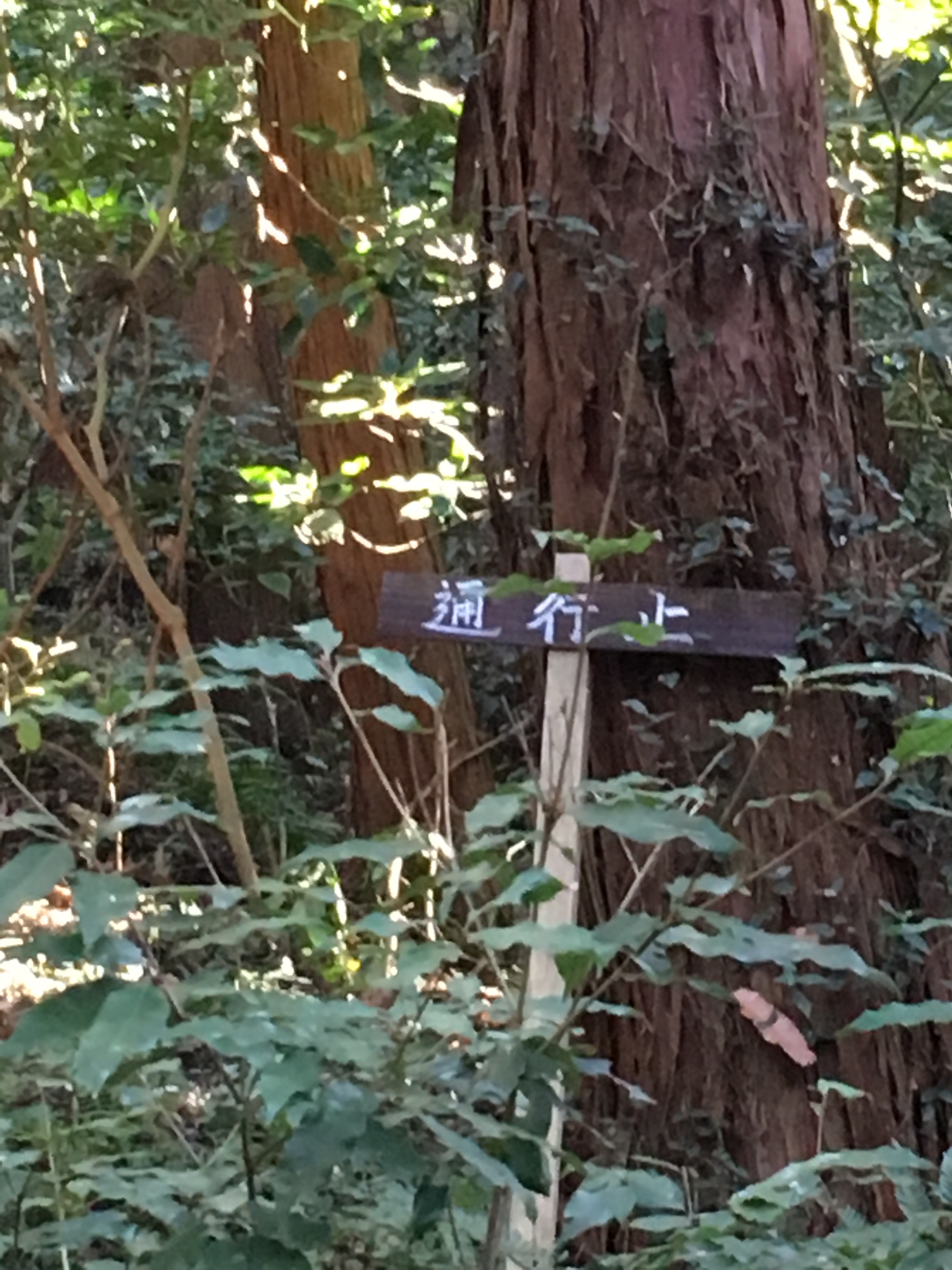 ダイエット登山　宝篋山　通行止め看板