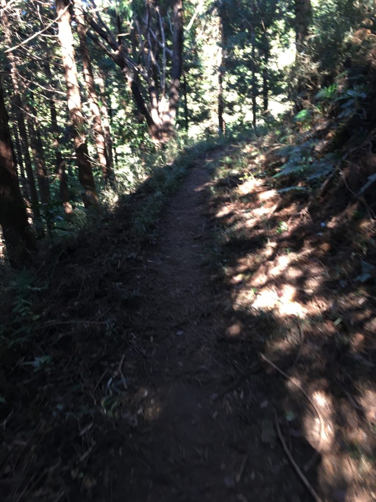 ダイエット登山　宝篋山の日陰道